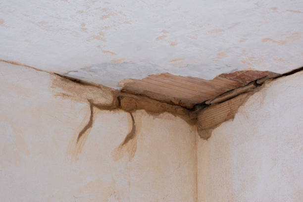 Best Flood restoration services  in Fairlawn, VA